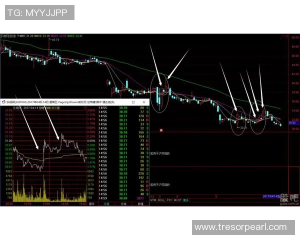 成都与杭州排球队赛后技术分析与战术复盘探讨