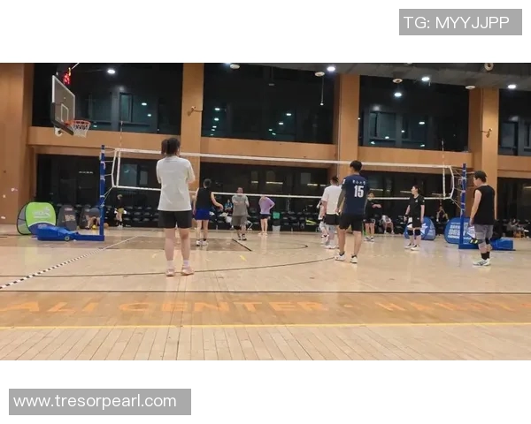 杭州排球队在锦标赛中的比赛经验与表现分析及总结