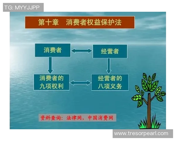 手工缝制足球的真相揭秘是否存在行业骗局与消费者权益保护问题