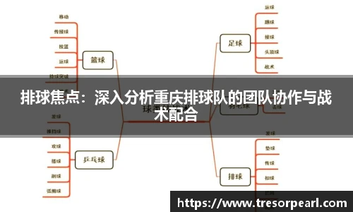 排球焦点：深入分析重庆排球队的团队协作与战术配合